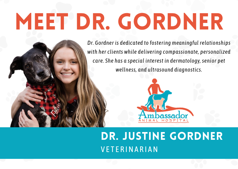 Carousel Slide 1: Learn more about Dr. Gordner here!