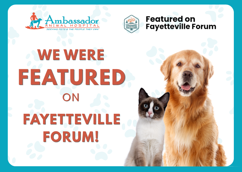 Carousel Slide 1: Featured in Fayetteville Forum