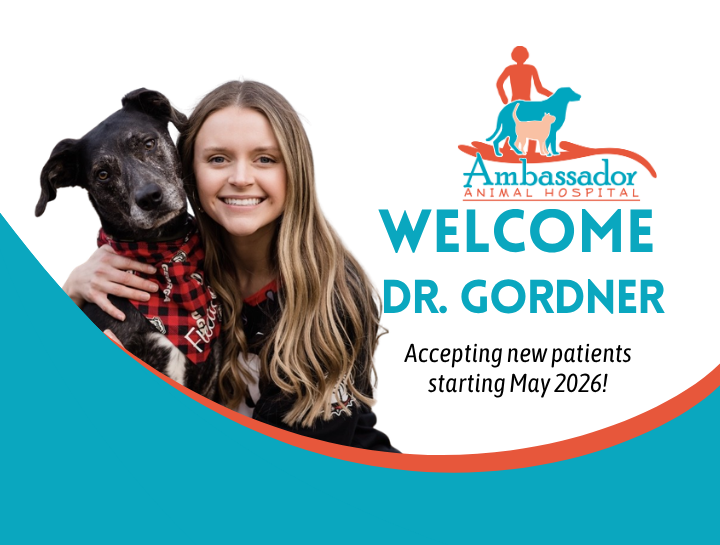 Welcome Dr. Justine Gordner to Ambassador Animal Hospital!