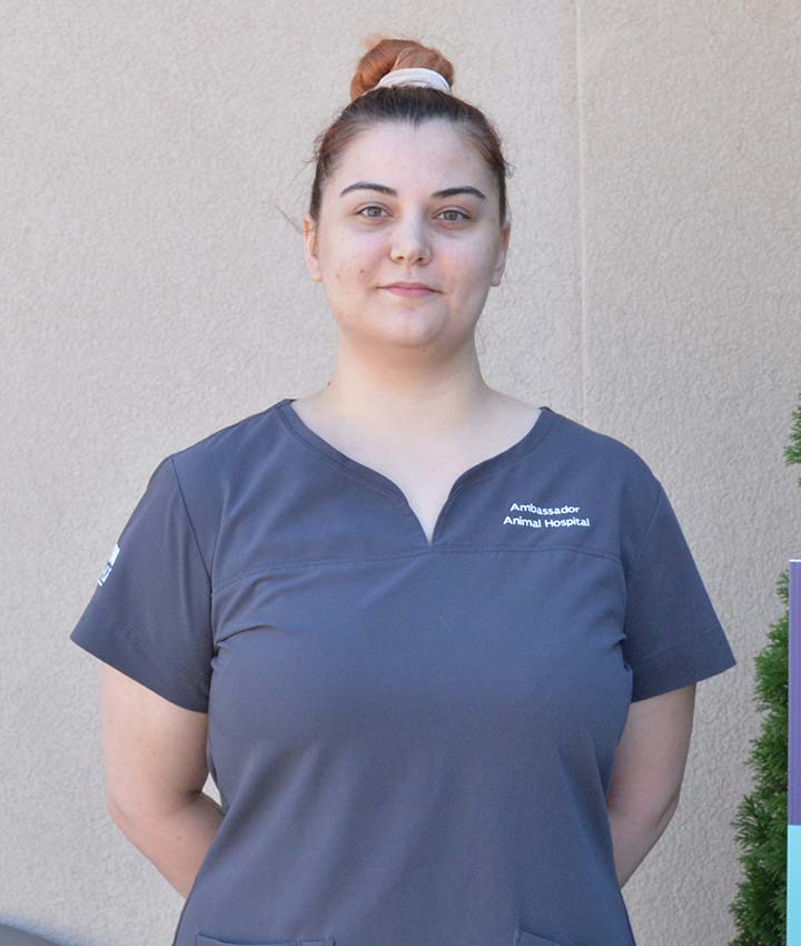 Victoria Job